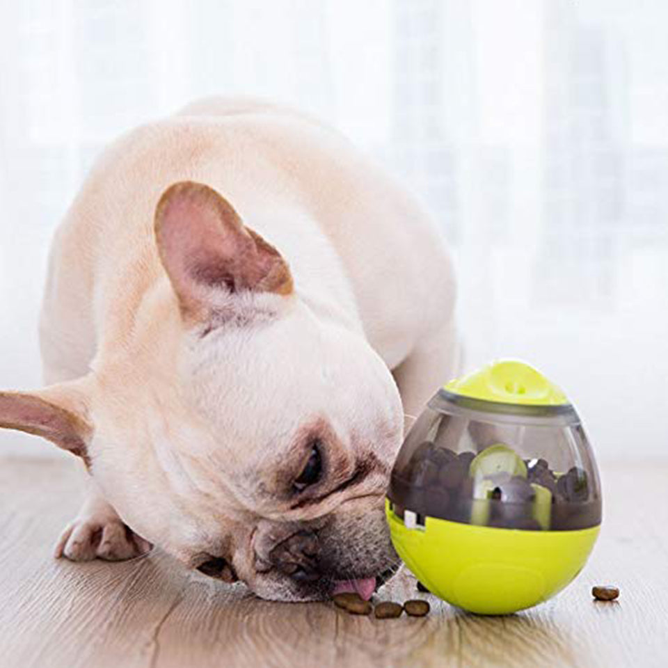 Pelota Dispensador Comida Snack mascota